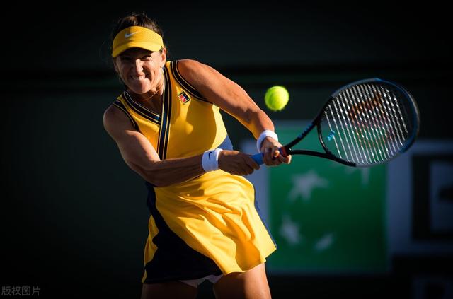 开云- 阿扎伦卡有几个大满贯